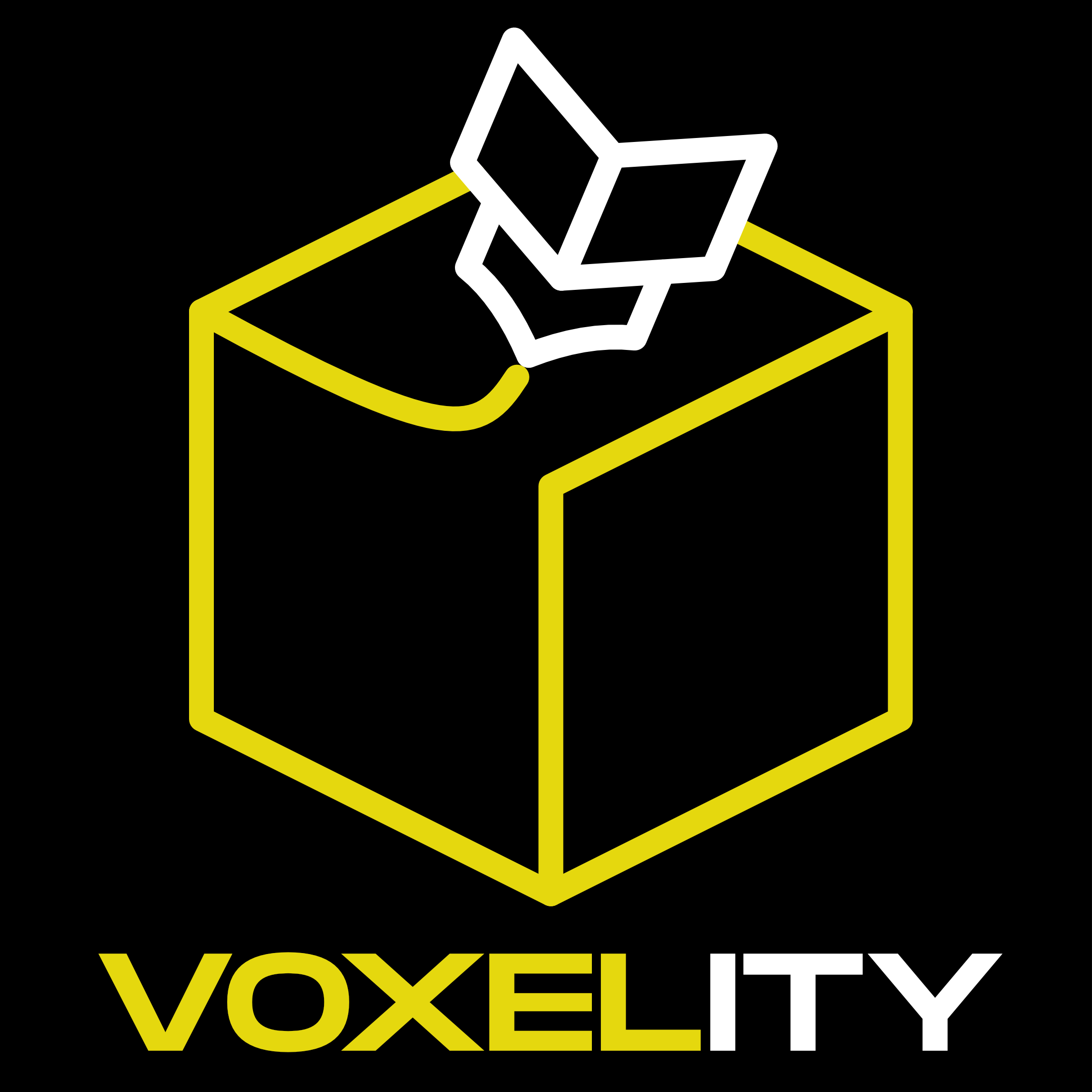 Voxelity